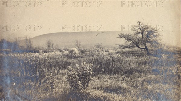 Landscape of a field with hill in background, c1900.