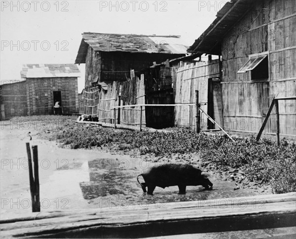 Ecuador - Scenes In Quayaquil, Ecuador, 1912. Creator: Harris & Ewing.