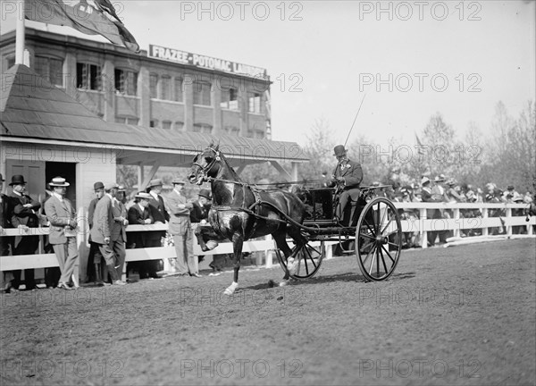 Horse Shows. Unidentified Men, Driving, 1911.