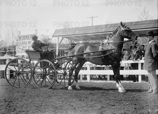 Horse Shows. Unidentified Men, Driving, 1911.