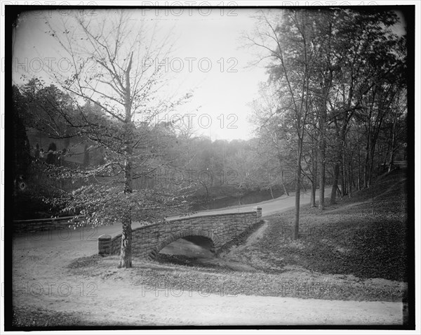 Rock Creek Park scenes, between 1910 and 1920. Creator: Harris & Ewing.