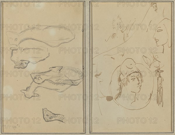Five Sheep; Four Head Studies [verso], 1884-1888.