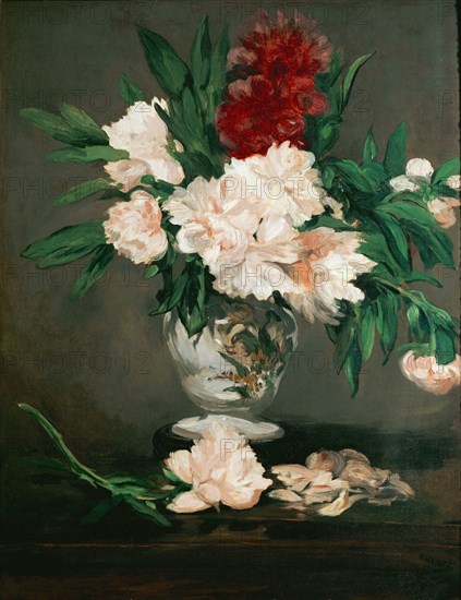 Vase de pivoines sur piédouche, 1864. Creator: Manet, Édouard (1832-1883).