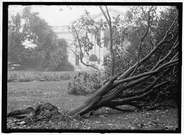 White House - storm damage, between 1913 and 1918.