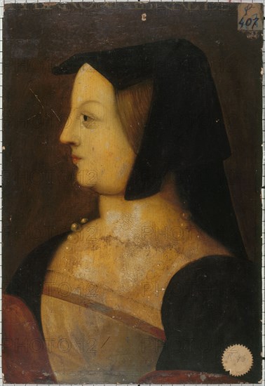 Portrait of a woman, known as la Belle Ferronniere, 1539.