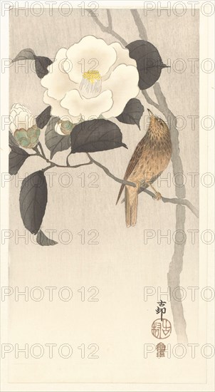 Songbird and blooming camellia, 1900-1910. Private Collection.