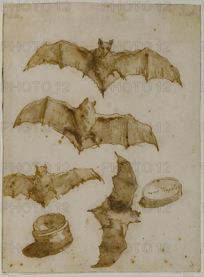 Study of bats and open box, 1790. Creator: Tiepolo, Giandomenico (1727-1804).