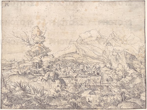 The Great Landscape with the Water Mill, c. 1520.