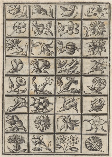 Trionfo Di Virtu. Libro Novo..., page 3 (verso), 1563.