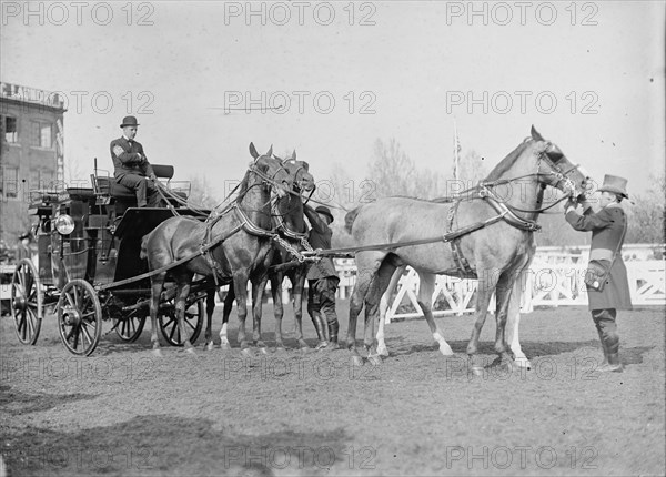 Horse Show - Busch, Adolphus, Iii, of St. Louis, 1911.