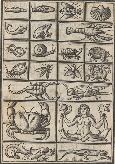 Trionfo Di Virtu. Libro Novo..., page 23 (verso), 1563.