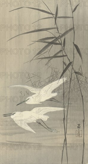 Two egrets in flight, Between 1910 and 1920. Private Collection.