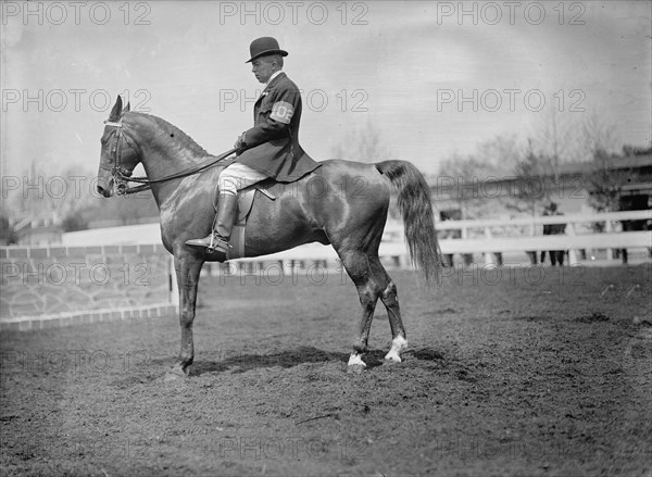 Horse Shows - Unidentified Men, Mtd. Or Hurdling, 1911.