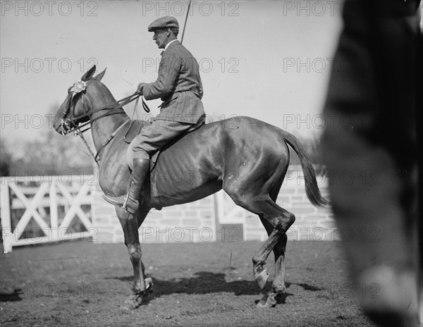 Horse Shows - Unidentified Men, Mtd. Or Hurdling, 1911.