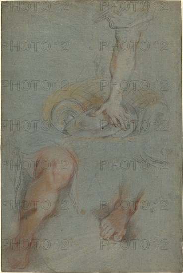 Studies for a Servant in "The Last Supper", c. 1590/1599.