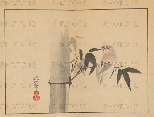 Sakai Hoitsu gajo (Sakai Hoitsu painting album). Private Collection.