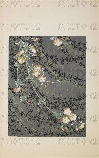 Illustration from "Shin bijutsukai", 1901-1902. Creators: Sekka, Kamisaka (1866-1942), Korin, Furuya (1875-1910)