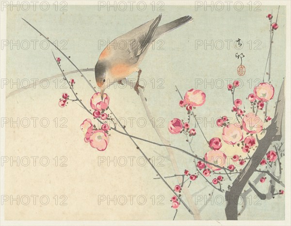 Songbird on blossom branch, Between 1910 and 1920. Private Collection.