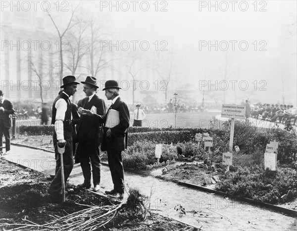 City experiment in gardening, New York City, c1922. Creator: Frances Benjamin Johnston.