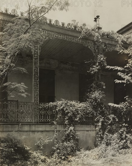 Elmscourt, Natchez, Adams County, Mississippi, 1938.