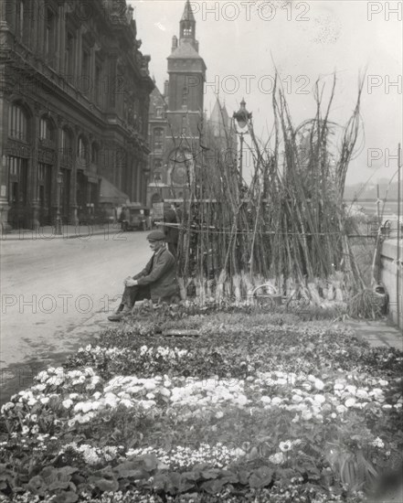 Flower market, Quai de la Cite´, Paris, France, 1925.