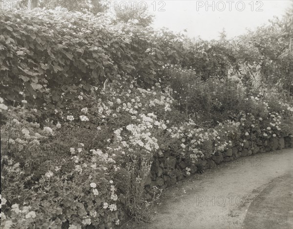 Unidentified house and garden, between 1910 and 1935.