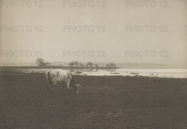 Potomac River from below Alexandria, Virginia, c1895.