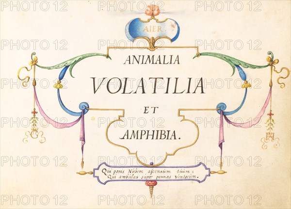 Animalia Volatilia et Amphibia (Aier): Title Page, c. 1575/1580.