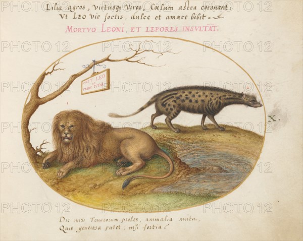 Animalia Qvadrvpedia et Reptilia (Terra): Plate X, c. 1575/1580.
