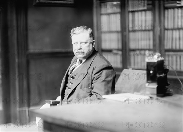 Democratic National Convention - Robert Crain of Baltimore, 1912. [Robert S. Crain].