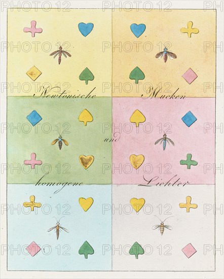 Theory of Colours (Zur Farbenlehre), 1810. Private Collection.
