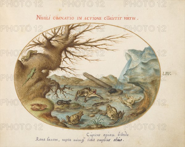 Animalia Qvadrvpedia et Reptilia (Terra): Plate LIV, c. 1575/1580.
