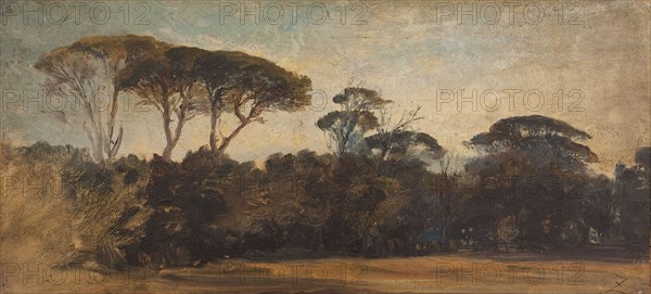 Pins parasols aux environs de Naples, c.1847.