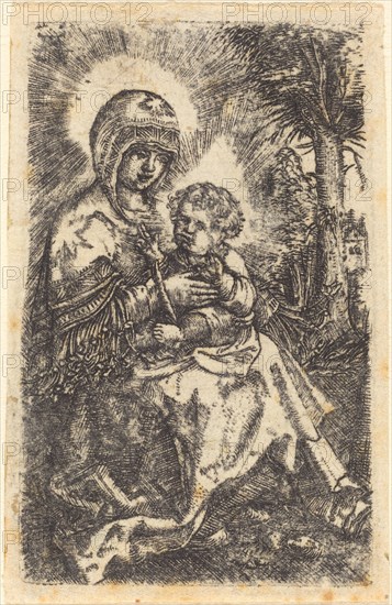 The "Beautiful Virgin" of Ratisbon in a Landscape, c. 1519/1520.
