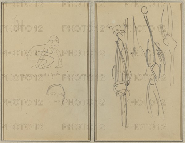 Crouching Monkey and Man's Head; Bones and Muscles [verso], 1884-1888.