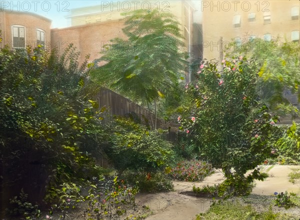 Unidentified city garden, probably in New York, New York, c1922.