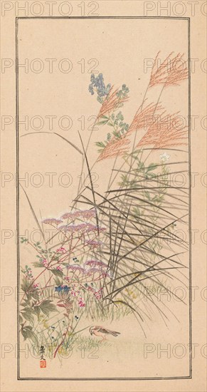 Shubi gakan (Drawing Methods for Aesthetic Pictures), 1889. Private Collection.