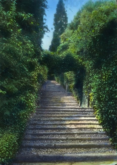 Botanical Garden, Isola Madre, Lake Maggiore, Piedmont, Italy, 1925. Bought by Count Lancilloto Borromeo in 1501.