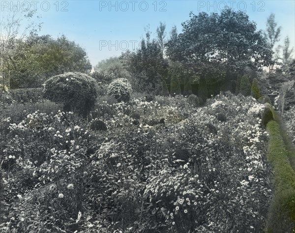 Unidentified house and garden, probably Virginia, between 1910 and 1935.