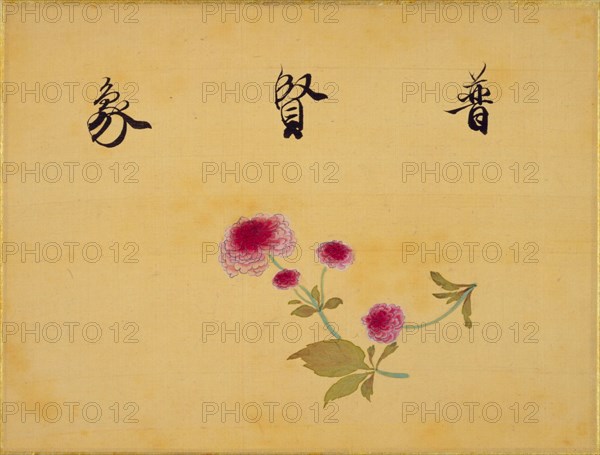 From the Sketch Book of Sakura (Cherry Blossoms), Between 1830 and 1853. Private Collection.