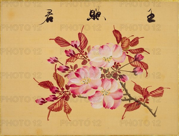 From the Sketch Book of Sakura (Cherry Blossoms), Between 1830 and 1853. Private Collection.