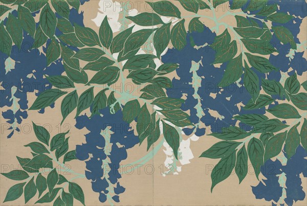 Wisteria (Fuji). From the series "A World of Things (Momoyogusa)", 1909-1910. Private Collection.
