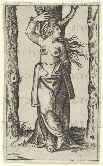 Saint Agatha tied to a tree, her breasts have been cut off, from the series 'Piccoli Santi' (Small Saints), ca. 1500-1540.