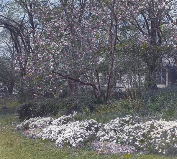 Lyndhurst, Finley Johnson Shepard house, 635 South Broadway, Tarrytown, New York., c1914.