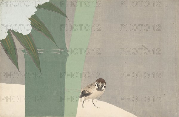 Settchu-take (Bamboo in Snow). From the series "A World of Things (Momoyogusa)", 1909-1910. Private Collection.