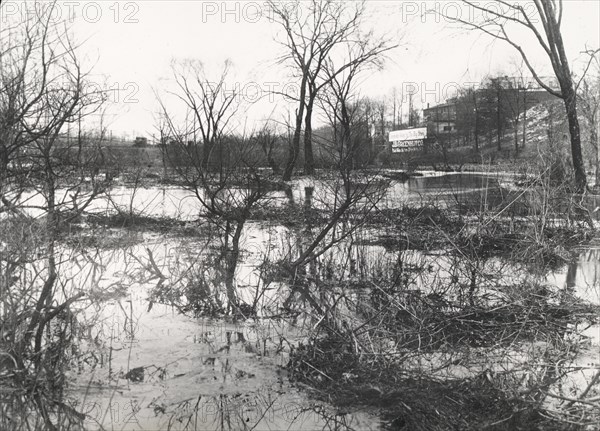 Before at Wakefield, New York City, through driveway was built, c1907. Creator: Frances Benjamin Johnston.