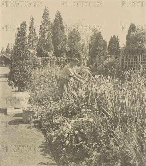 Gardener tending floral border, posed to illustrate Rudyard Kipling's poem "The Glory of the Garden", 1917.