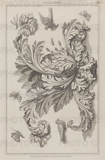 Acanthus Leaves, Birds and Insects, no. CCCLXXII ("Designs for Various Ornaments," pl. 57), April 1, 1792.