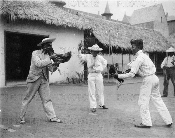 Two cock-fighters and referee at the World's Columbian Exposition, Chicago, Illinois, 1892 or 1893.