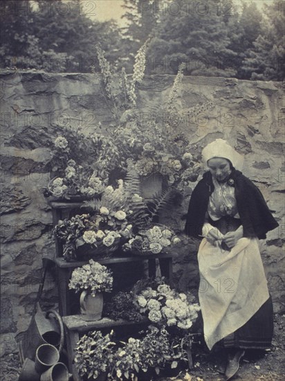 Dutch flower seller, c1900. Creator: Unknown.